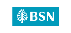 BSN Bank